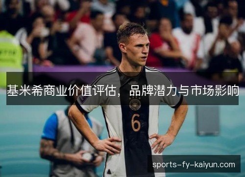 基米希商业价值评估，品牌潜力与市场影响
